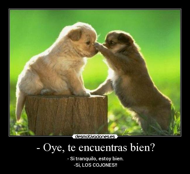- Oye, te encuentras bien? -
