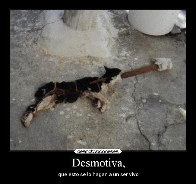 Desmotiva, - que esto se lo hagan a un ser vivo