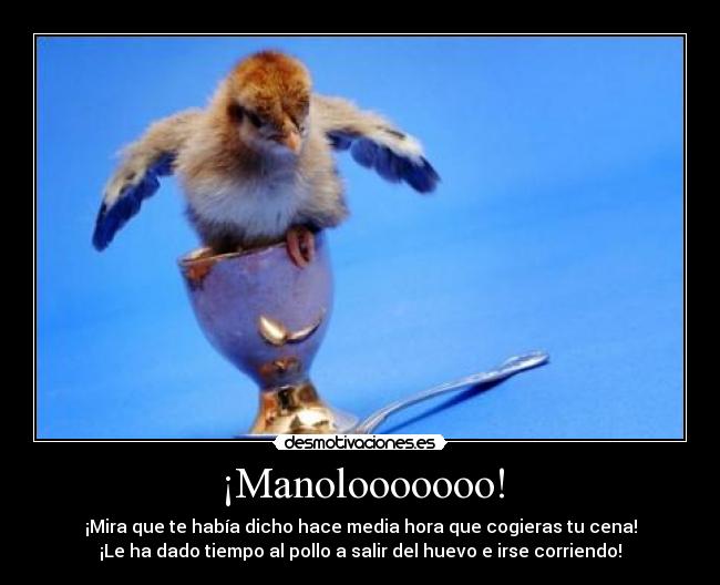 ¡Manolooooooo! - ¡Mira que te había dicho hace media hora que cogieras tu cena!
¡Le ha dado tiempo al pollo a salir del huevo e irse corriendo!