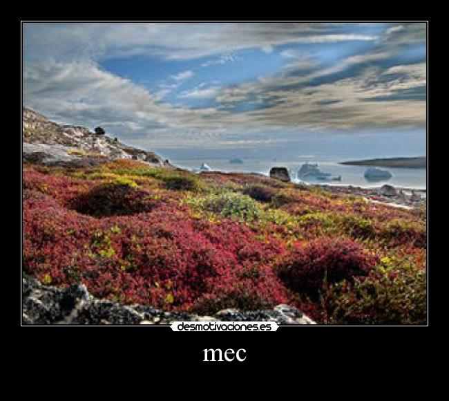 mec -