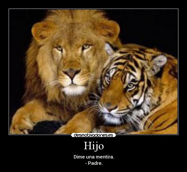 Hijo - Dime una mentira.
- Padre.