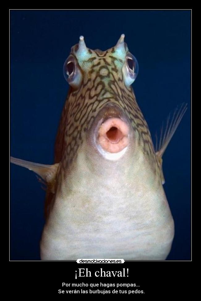 ¡Eh chaval! - Por mucho que hagas pompas...
Se verán las burbujas de tus pedos.