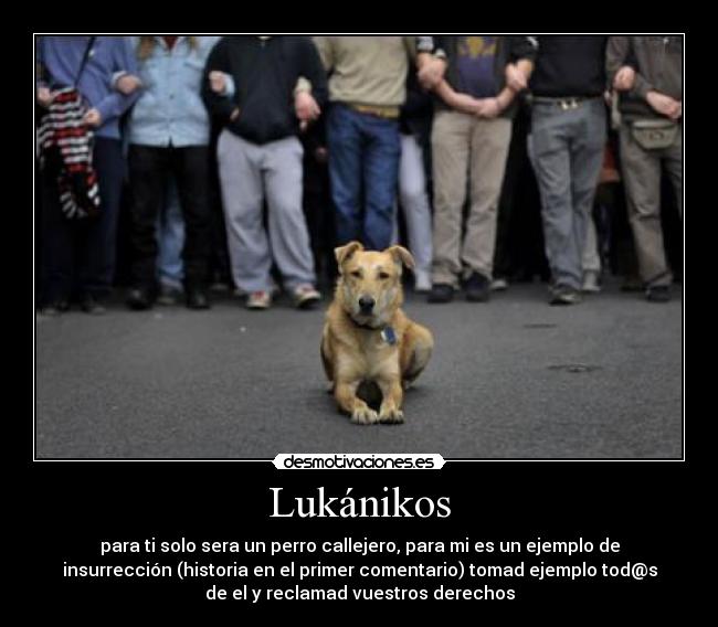 Lukánikos - para ti solo sera un perro callejero, para mi es un ejemplo de
insurrección (historia en el primer comentario) tomad ejemplo tod@s
de el y reclamad vuestros derechos