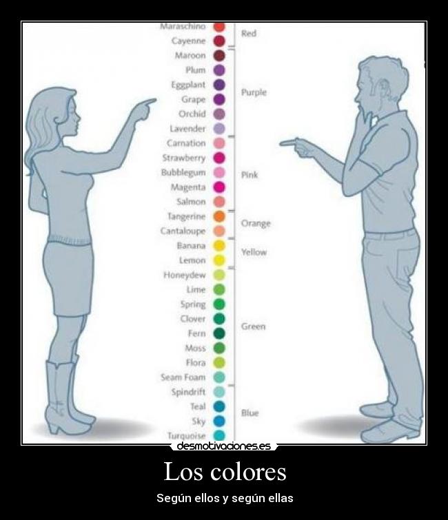 Los colores - Según ellos y según ellas