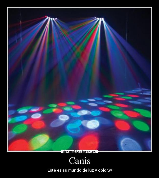 Canis -