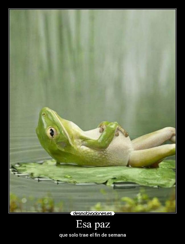 Esa paz - 