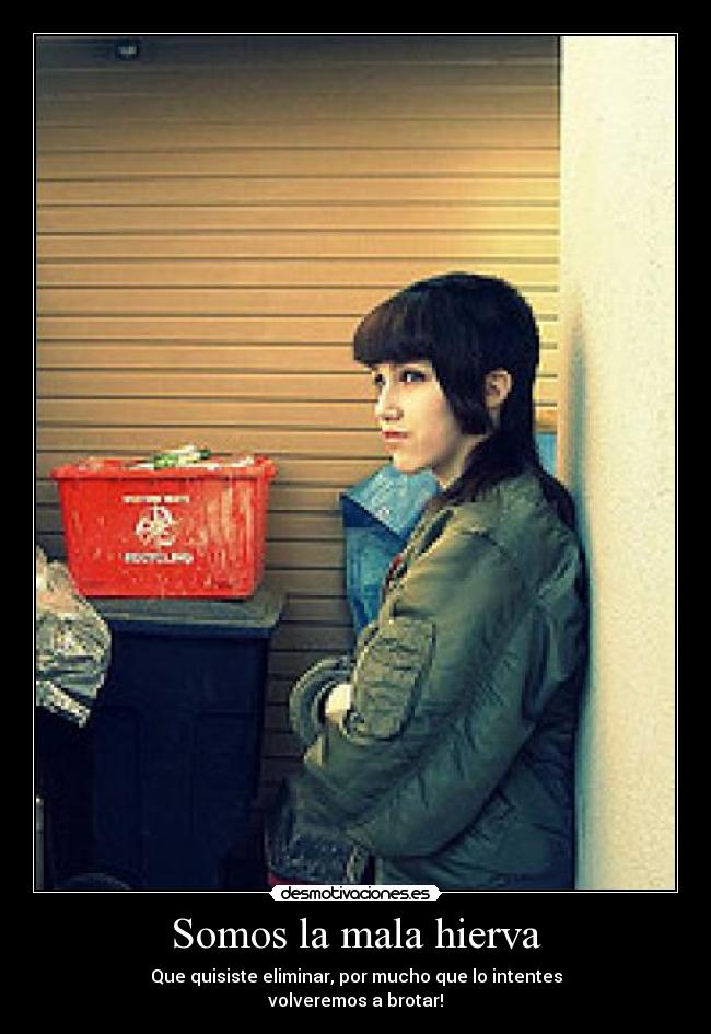 Somos la mala hierva - Que quisiste eliminar, por mucho que lo intentes
volveremos a brotar!