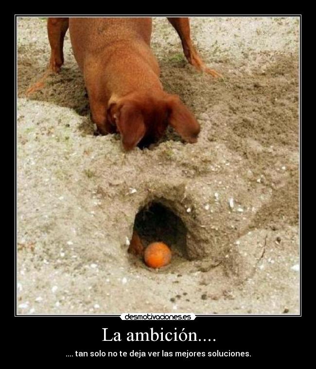 La ambición.... -