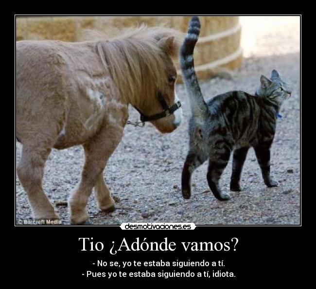 Tio ¿Adónde vamos? - - No se, yo te estaba siguiendo a tí.
- Pues yo te estaba siguiendo a tí, idiota.