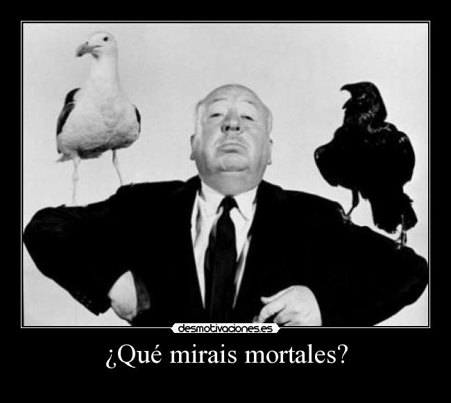 ¿Qué mirais mortales? - 