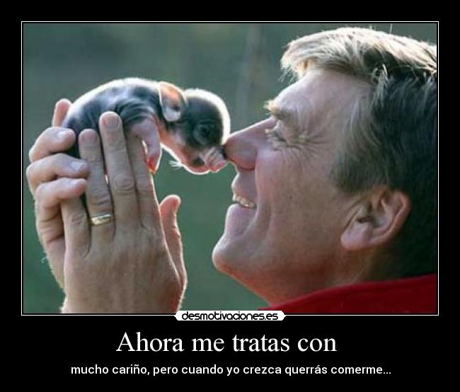 Ahora me tratas con  - 