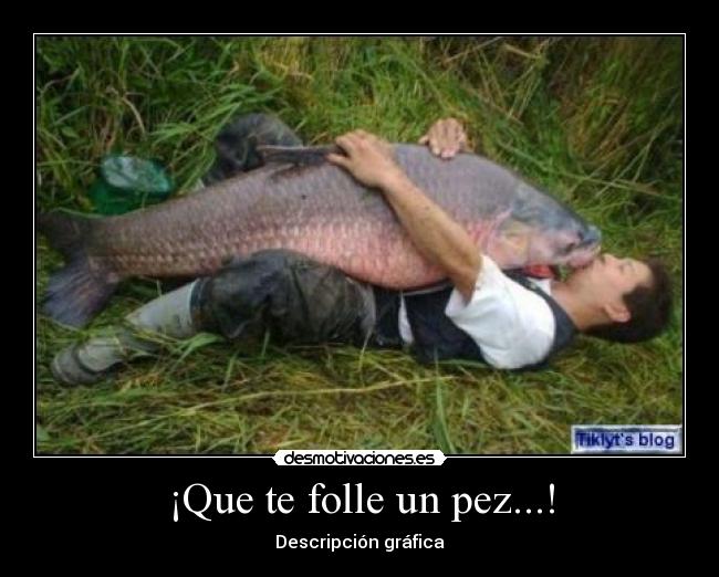 carteles que folle pez pescado descripcion grafica tal pascual desmotivaciones