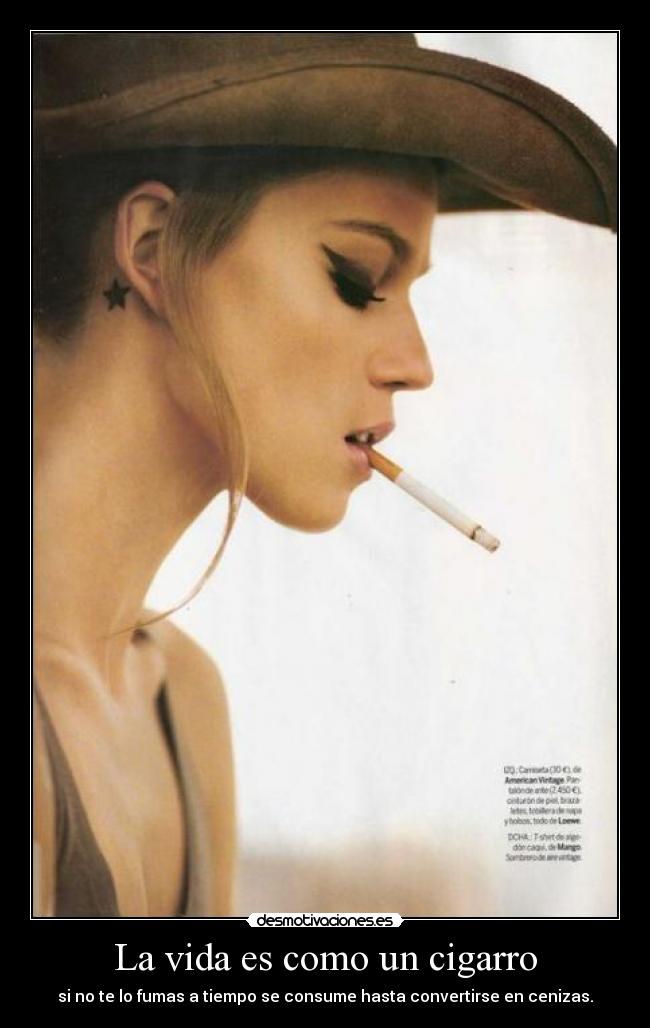 carteles vida vida desmotivaciones