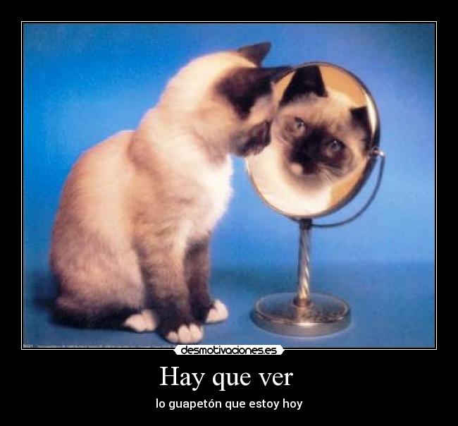 carteles sofo desmotivaciones