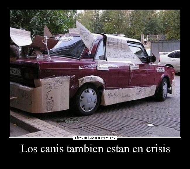 Los canis tambien estan en crisis -