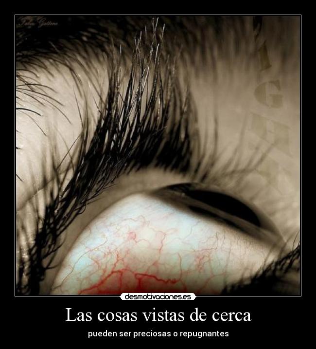 carteles lixini desmotivaciones