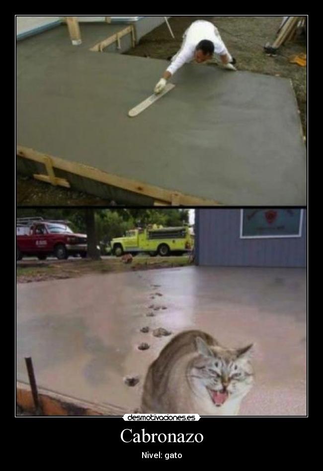 Cabronazo -