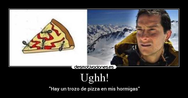 Ughh! - Hay un trozo de pizza en mis hormigas