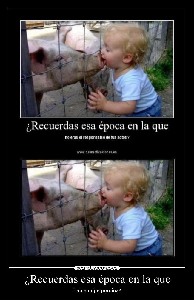 ¿Recuerdas esa época en la que - habia gripe porcina?