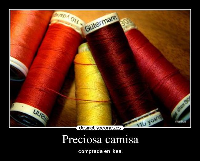 Preciosa camisa - comprada en Ikea.