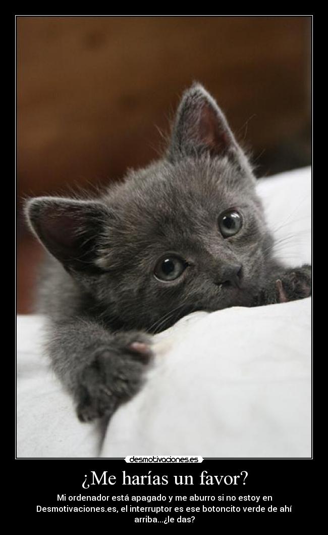 ¿Me harías un favor? - 