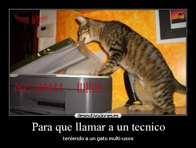 Para que llamar a un tecnico - teniendo a un gato multi-usos