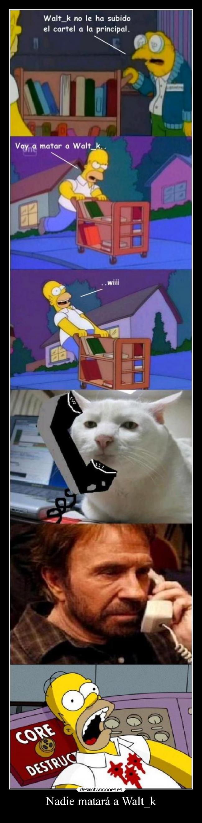 Nadie matará a Walt_k -