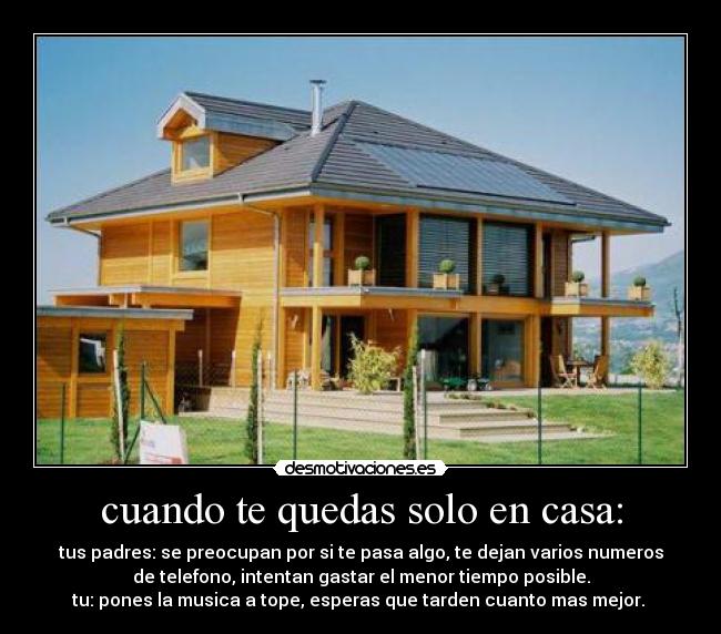 cuando te quedas solo en casa: - 