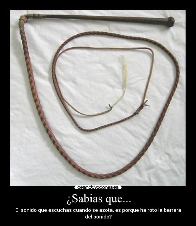 ¿Sabias que... - El sonido que escuchas cuando se azota, es porque ha roto la barrera del sonido?