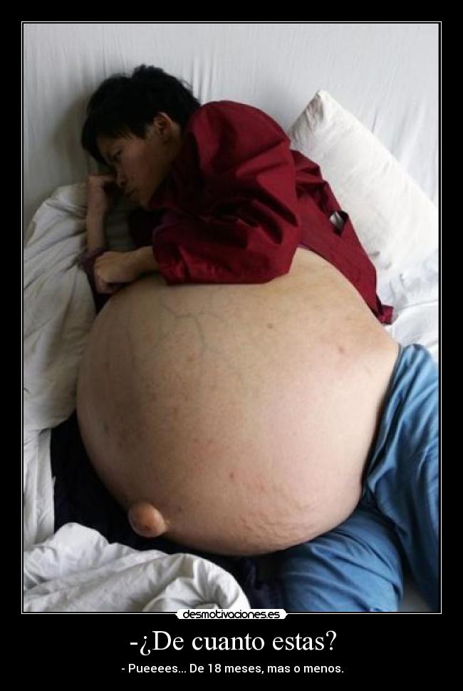 carteles sanny desmotivaciones