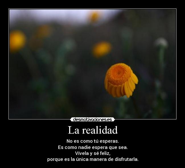 La realidad - 