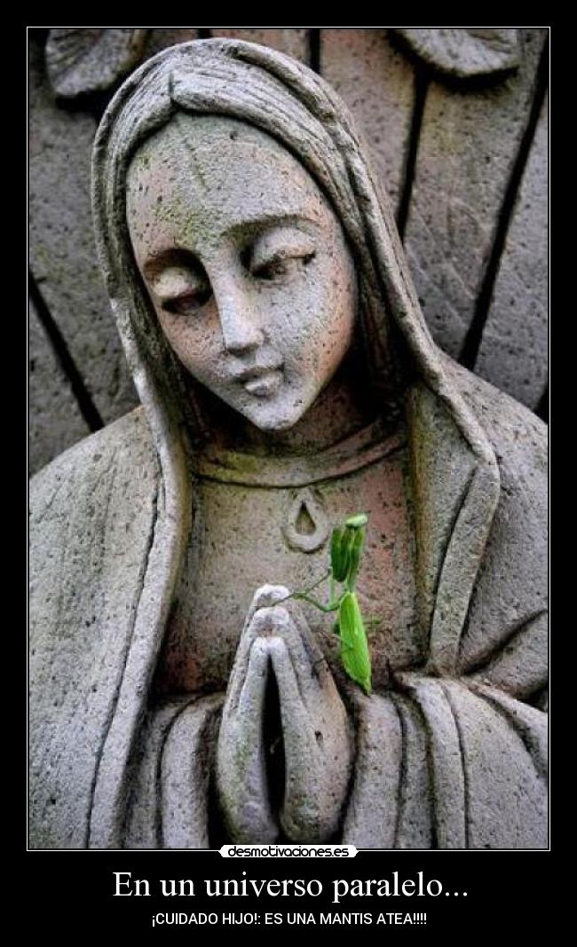En un universo paralelo... - ¡CUIDADO HIJO!: ES UNA MANTIS ATEA!!!!