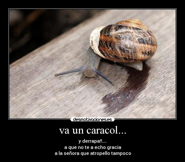 va un caracol... -
