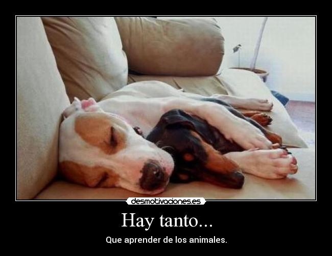 Hay tanto... -