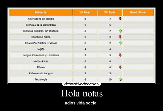 Hola notas - adios vida social