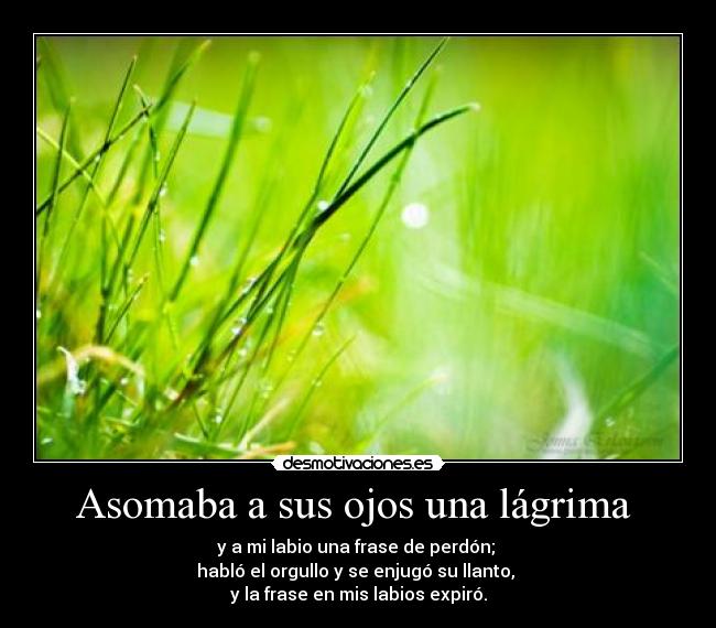 carteles orgullo desmotivaciones