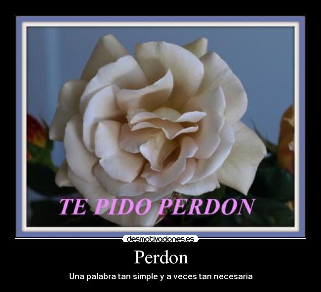 Perdon - 