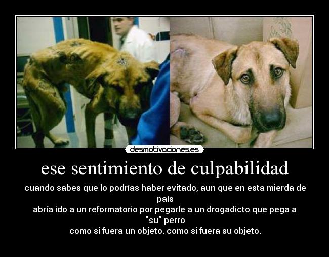 ese sentimiento de culpabilidad - 