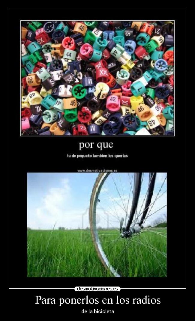 Para ponerlos en los radios - de la bicicleta