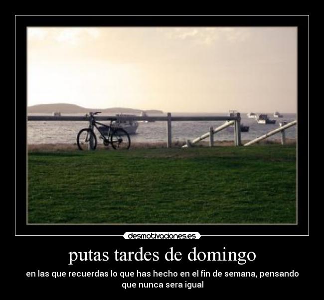 putas tardes de domingo - 