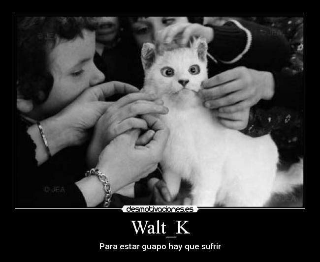 Walt_K - 