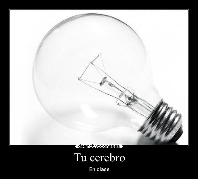 Tu cerebro - 