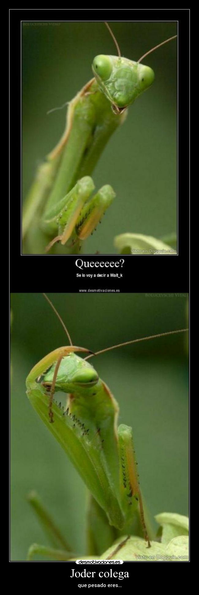 Joder colega - que pesado eres...