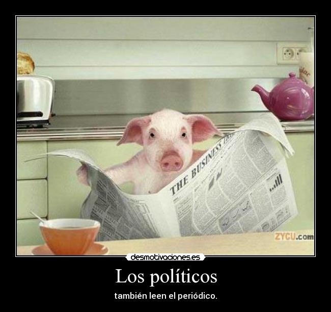 carteles cerdos politicos desmotivaciones