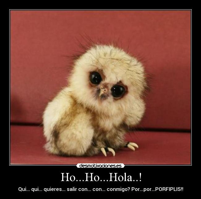 Ho...Ho...Hola..! - Qui... qui... quieres... salir con... con... conmigo? Por...por...PORFIPLIS!!