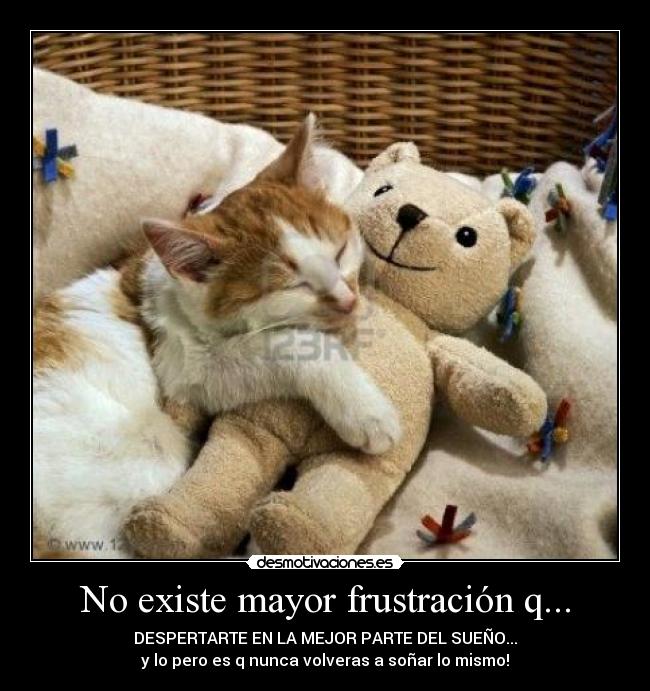 No existe mayor frustración q... - DESPERTARTE EN LA MEJOR PARTE DEL SUEÑO...
y lo pero es q nunca volveras a soñar lo mismo!