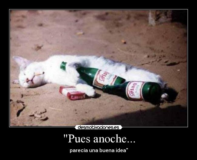 Pues anoche... - parecía una buena idea