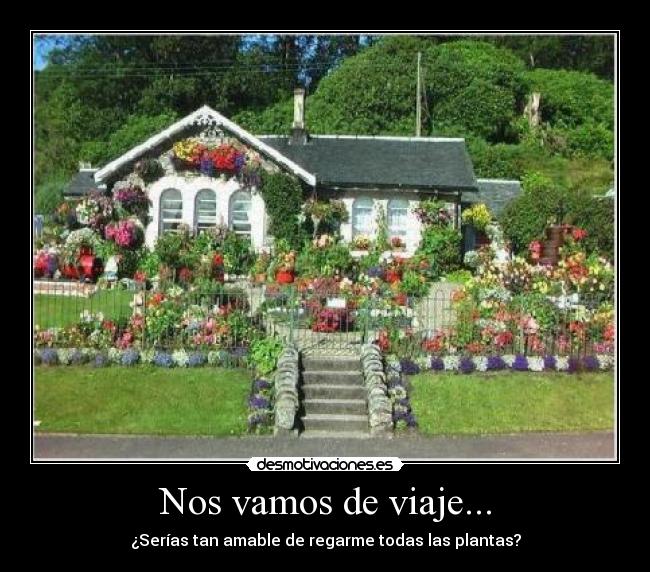 Nos vamos de viaje... -