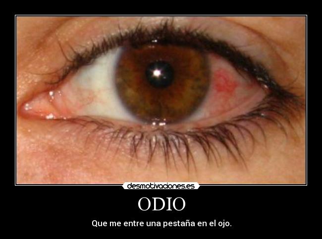 carteles odio odio desmotivaciones