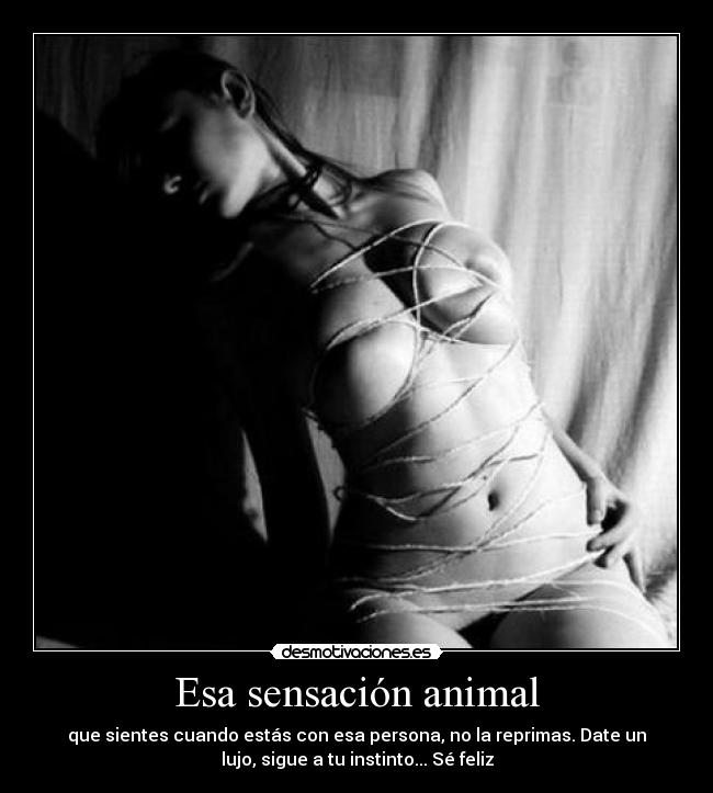 Esa sensación animal - que sientes cuando estás con esa persona, no la reprimas. Date un
lujo, sigue a tu instinto... Sé feliz